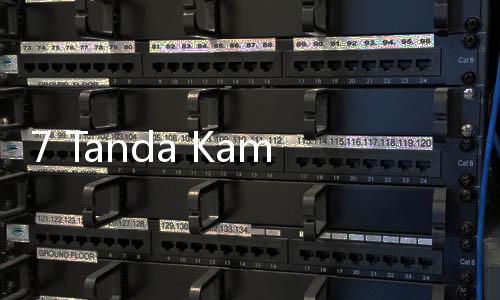 7 Tanda Kamu Seorang Kepribadian 'Lone Wolf', Tak Melulu Negatif Lho!