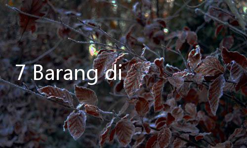 7 Barang di Pesawat yang Boleh Kamu Bawa Pulang, Apa Saja?