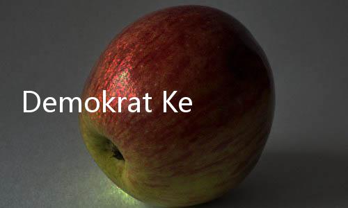 Demokrat Keluarkan Rekomendasi Bacalon Kepala Daerah, Salah Satunya Riza
