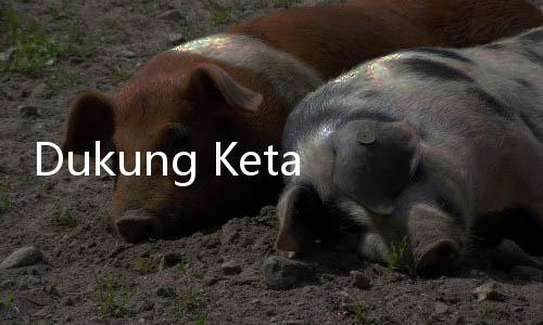 Dukung Ketahanan Pangan dan Swasembada, Polri Bersama Kementan Teken MoU