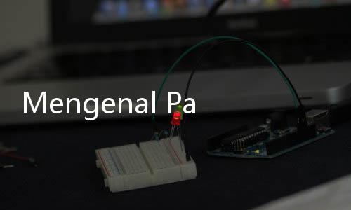 Mengenal Paspor Paling Langka di Dunia dari Negara Tanpa Tanah