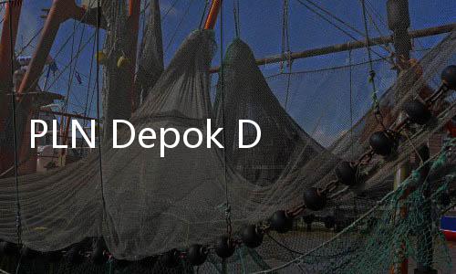 PLN Depok Dikepung Protes, Aduan Tagihan Listrik Bengkak Tembus 2.000!