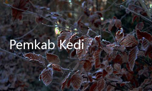 Pemkab Kediri Cetak Role Model Remaja Lewat Duta Genre