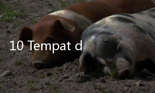 10 Tempat di Dunia Ini Jarang Kena Sinar Matahari, Ada 1 di Ujung Bumi
